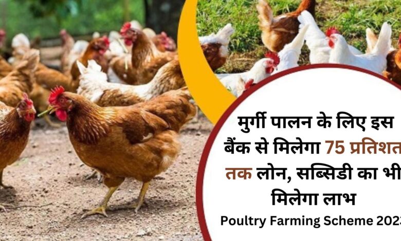 Poultry Farming Scheme 2023