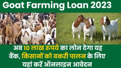 Goat Farming Loan