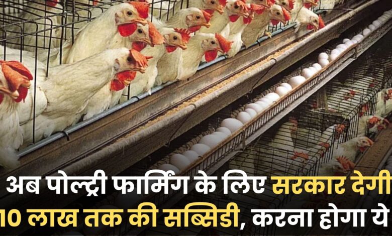 Poultry Farming Apply