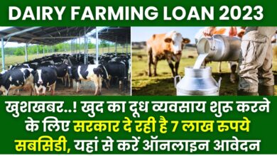Dairy Farming Loan 2023
